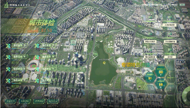 城市体检